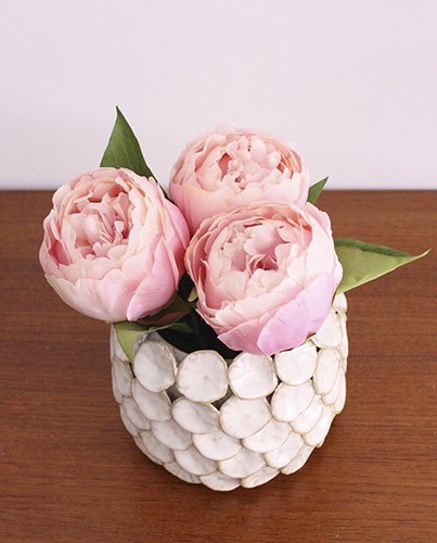 Peonia rosa - Deco & Living