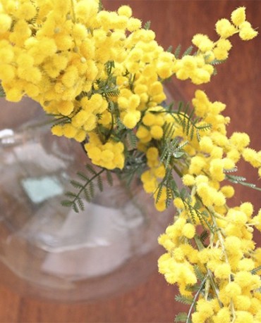 Mimosa artificial - Deco & Living