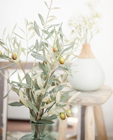 Rama Olivo - Deco & Living