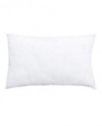 Relleno coj&iacute;n 50x70