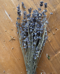 Ramo lavanda