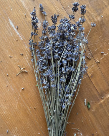 Ramo lavanda