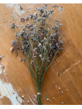 Ramo petita lila