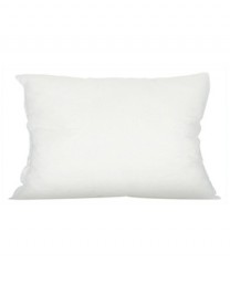 Relleno coj&iacute;n plumas 30x40