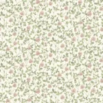Rosa Beige Rosa