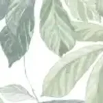 Spring Green