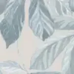 Soft Blue